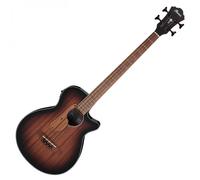 Ibanez AEGB24E-MHS