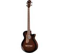 Ibanez AEGB24E-MHS