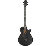 Ibanez AEGB420-BOT
