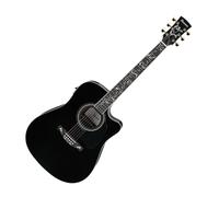 Ibanez AW391RCE Black High Gloss Top Natural High Gloss Back and Sides