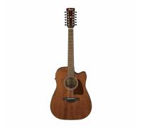 Ibanez AW5412CE 12 String Electro Acoustic Open Pore Natural
