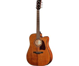 Ibanez AW54CE-OPN