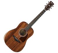 Ibanez AW54JR Open Pore Natural