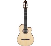 Ibanez GA3007CE-NT