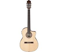 Ibanez GA360TCE-NT