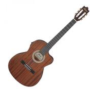 Ibanez CLASSICAL ELECTRO ACOUSTIC, Thinline Body, Open Pore Natural