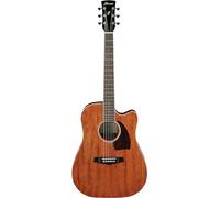 IBANEZ PF ELECTRO ACOUSTIC, AEQ-2T Preamp, Open Pore Natural