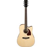 IBANEZ PF16WCE-NT