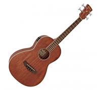 Ibanez PNB14E Open Pore Natural electro-acoustic bass