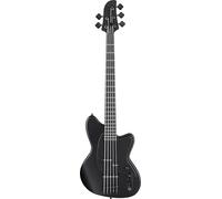 Ibanez TMB425B Talman 5 String Black Flat