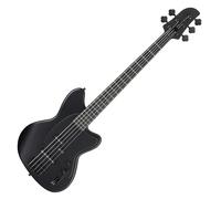Ibanez TMB425B Talman 5 String Black Flat