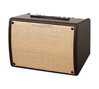 Ibanez Troubadour T30II - Acoustic Guitar Amp
