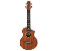 Ibanez UEWT5-OPN Tenor Acoustic Ukulele - Open Pore Natural