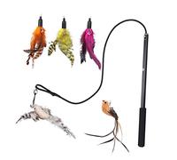 ibasenice 1 Set Cat Teaser Stick Durable Kitten Training Rod with Replaceable Heads for Interactive Play Engaging Cat to Enhance Bonding and Combat Boredom