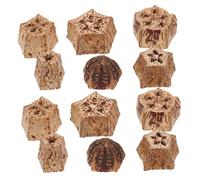 ibasenice 12pcs Natural Parrot Chewing Healthy Foraging Accessories for Budgies Parakeets Cockatiels Durable Dried Fruit Design for Fun Engagement Birdcages