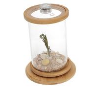 ibasenice 1Set Desktop Fish Tank of Decorative Fish Bowl for Home Office Aquarium with Lifelike Plants for Gardens Craft Displays