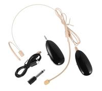 ibasenice 2.4g Wireless Head-mounted Microphone Amplifier Loudspeaker, Black Plastic Karaoke Recording Mic for Classroom and Public Speaking