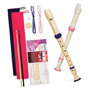 ibasenice 2 Pcs Soprano Recorder Set 8-Hole Beginner Musical Instruments Cleaning Rod for Music Practice and Education