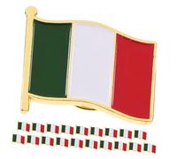 ibasenice 20Pcs Italian Flag Brooch Pins Metal Enamelled Badge with Stoving Varnish Iron Butterfly Clutch Lapel Pins for Men and Women Stylish National Flag Accessories for Clothing