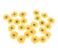 ibasenice 24pcs Yellow Dried Daisy Flowers Natural Pressed Flowers Material for DIY Crafts Making and Dried Bookmarks Maintain Original Shape for Scrapbooking Embellishments