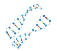 ibasenice 2pcs Dna Double Helix Structure Model Kit Educational Science Teaching for Genetics Study for Lab Research Classroom Learning