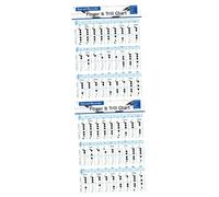 ibasenice 2pcs Flute Chord Chart for Beginner Students Practice Guide Music Poster Vertical Flute Chart for Learning at Home School