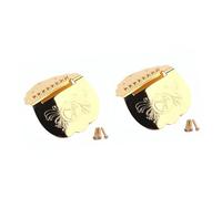 ibasenice 2pcs Mandolin Guitar Tailpiece Tailpiece Screws Chrome Finish Replacement Part