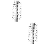 ibasenice 2sheets Ruler Sticker Decorative Decal for Boy Girl Piano Style Decal Removable Wall Sticker Music Wall Decor for Bedroom Living