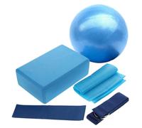 ibasenice 5-Piece Yoga Ball Set Blocks and Resistance Band Professional Exercise Ball Multi-Use Fitness Equipment for Home Gym Yoga