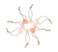 ibasenice 8pcs Hanging Pink Mineral Salt Blocks for Goats Deer Alpacas Natural Chew Snack Each for Improved Livestock Health and Easy Licking