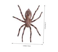 ibasenice Animal Evolution Model for Educational Life Cycle Simulation Figurines for Storytelling and Learning Growth Stages Creative Animal Ornaments for Boys