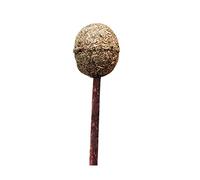 ibasenice Catnip Lollipop Ball for Cats Molar Teeth Cleaning Chewing Funny Cat Mint Stick for Kittens Interactive Cat for Cats Strengthens Bond Builds Self Esteem