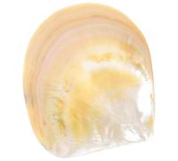 ibasenice Creative Shell Plate for Food Serving, Easy to Clean Caviar Dish Made from Natural Shell Material, for Restaurant and Buffet Use, Simple and Delicate Design Kitchen Food Plate