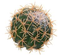 ibasenice Funny Cactus Car Antenna Topper Creative Auto Roof Decoration Cartoon Vehicle Exterior Accessory Dashboard Decoration for Cars and Trucks