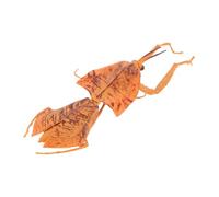 ibasenice Garden Mantis Statue Dead Leaf Praying Mantis Toy Model Insect Sculpture Educational Ornament for Boys and Girls' Room and Decor