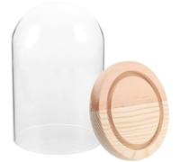 ibasenice Glass Dome Display Dustproof Bell Jar Showcase with Wooden Base for Storage and Decoration Elegant Cloche Cover for Office and DIY Embellishments