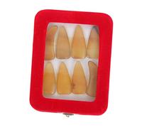 ibasenice Guzheng Finger Picks Medium Size Thickened Buffalo Horn Nail Covers Random Color Guzheng Practice Nails Protective Accessories