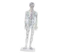 ibasenice Human Acupuncture Model Male Body Simulation with Precise Pressure Point Markings Realistic Meridian Display for Traditional Chinese Medicine Learning and Professional Practice