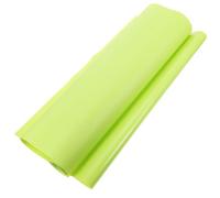 ibasenice Large Reptile Carpet Mat for Bearded Dragon and Lizard, Eva Material with Light Green Colour, Protective Bedding for Reptile Terrarium and Glass Container, Sturdy Climbing