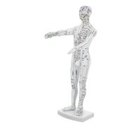 ibasenice Male Human Body Acupuncture Model with Meridian Acupoints for Pressure Point Massage and Learning Display for Chinese Medicine Education Practice Training Tool for Students and