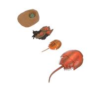 ibasenice Mini Simulation Ocean Creature Models for Organism Figures for Educational Play and Home Decor Enhancing Cognitive Skills and Imagination