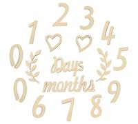 ibasenice Month Marker Signs Cards Set Wooden Birth 12 Months for Baby's First Year