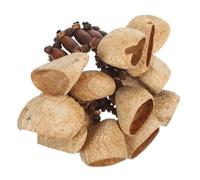 ibasenice Percussion Wristband Asalato Shaker African Tribal Bracelet Bells Instrument Percussion Shell Dance Bracelet