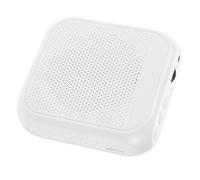 ibasenice Portable Voice Amplifier Microphone Rechargeable Mini Teacher's Classroom Speaker System for Teachers Teaching Tour