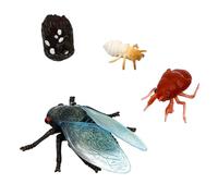ibasenice Realistic Cicada Figurine with Life Cycle Stages for Educational Learning Fine Craftsmanship Insect Model for Preschool Science Activities and Desktop Decoration