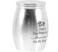ibasenice Silver Stainless Steel Keepsake Ashes Urn for Pets and Cats with Unscrewable Lid and Easy to Carry Design, Comforting Gift for Memorial and Remembrance