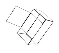 ibasenice Small Geometric Glass Plant Terrarium Moss Ecosystem for Desktop Landscape Display, Handcrafted Terrarium Container for Living Room, Miniature Rainforest Tabletop Holder in Black Tin Frame