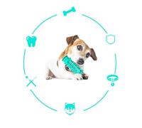 ibasenice Sturdy Puppy Chew Dog Chew for Teeth Cleaning and Molar Care Effective Pet Teeth Supplies for Dogs Playing in The Park Or on The Coast