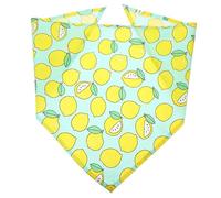 ibasenice Summer Pet Dog Bandana Fruit Print Triangle Kerchief for Dogs Lightweight Comfortable for Birthdays and Seasonal Celebrations