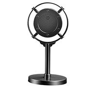 ibasenice Vintage Microphone Toy Plastic Music Mic for Role Play Party Birthday Games Safe Abs Material for Boys and Girls